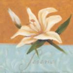 Julianne Marcoux art print