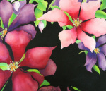 Silk Clemetis giclee art print