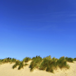 Square Dunes art print