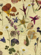Summer Zoom giclee art print