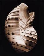 Sondra Wampler art print