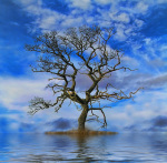 Tree on an Island giclee art print