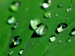 Waterdrops giclee art print