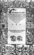 Flemish School art print