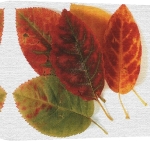 Erin Rafferty art print - Autumn Leaves poster