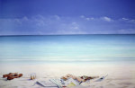 Lincoln Seligman art print