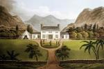 John Hassell art print