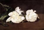 Edouard Manet art print