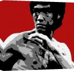 Erin Rafferty art print - Bruce Lee poster