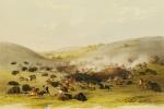 George Catlin art print