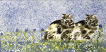Suzi Kennett art print