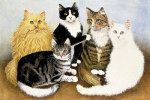 Pat Scott art print