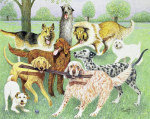 Pat Scott art print