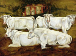 Gareth Lloyd Ball art print