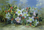 Albert Williams art print