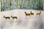 Suzi Kennett art print