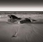 David Fokos art print