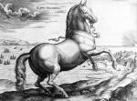 Jan van der Giovanni Stradano Straet art print