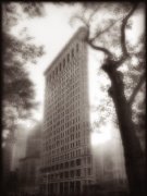 Sondra Wampler art print