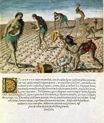 Theodore de Bry art print