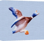 Erin Rafferty art print - Flying Duck 2 poster