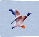 Erin Rafferty art print - Flying Duck 3 poster
