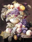 Pierre Joseph Celestin Redout� art print