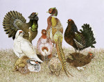 Pat Scott art print