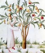 Italian School art print