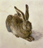 Hare, 1502 giclee art print