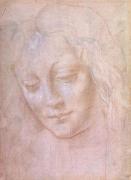 Leonardo da Vinci art print