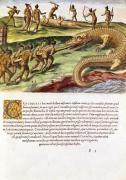 Theodore de Bry art print