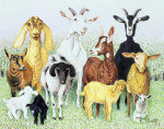 Pat Scott art print