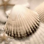 Geissler art print
