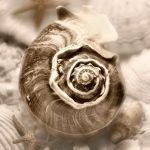 Geissler art print