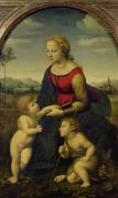 Raphael art print