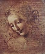 Leonardo da Vinci art print