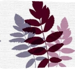 Erin Rafferty art print - Lilac leaves poster