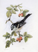Nellie Irene Hill art print