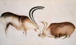 Paleolithic art print