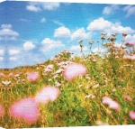 Erin Rafferty art print - Meadow poster
