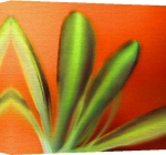 Erin Rafferty art print - Orange Petals poster