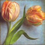 Sally Wetherby art print