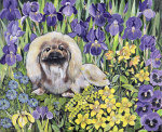Hilary Jones art print