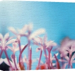 Erin Rafferty art print - Pink Stems poster