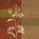 Scaletta art print