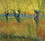 Vincent Van Gogh art print