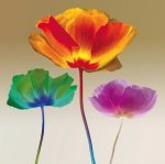 Robert Mertens art print