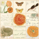 Paula Scaletta art print