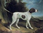 George Garrard art print